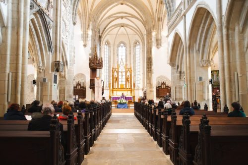 496847185 1255076129954047 6266051376309148745 n